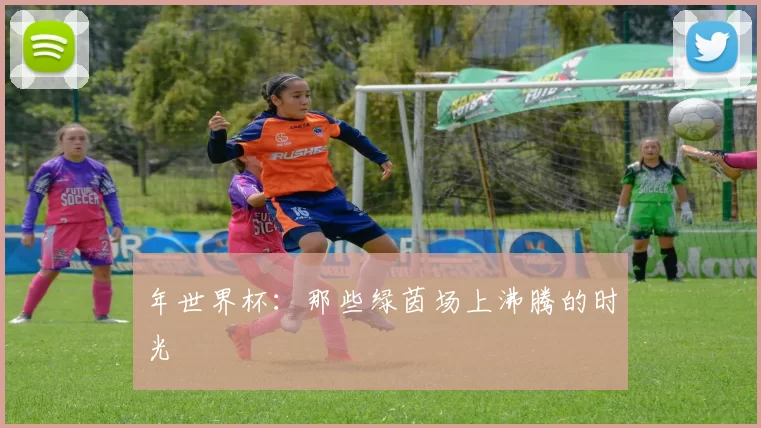 年世界杯:那些绿茵场上沸腾的时光