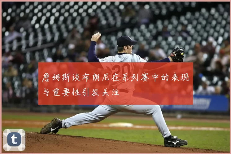 詹姆斯谈布朗尼在系列赛中的表现与重要性引发关注