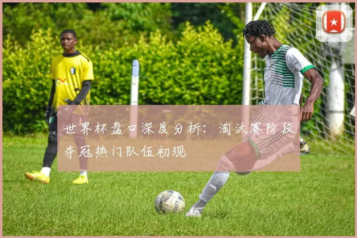 世界杯盘口深度分析:淘汰赛阶段夺冠热门队伍初现
