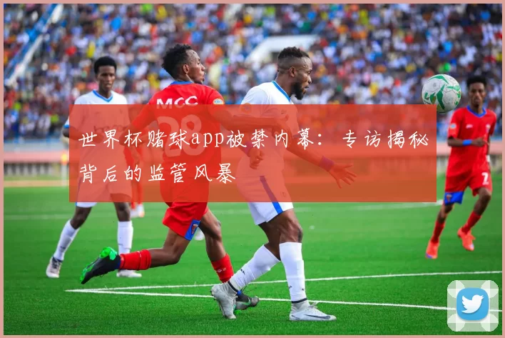 世界杯赌球app被禁内幕:专访揭秘背后的监管风暴