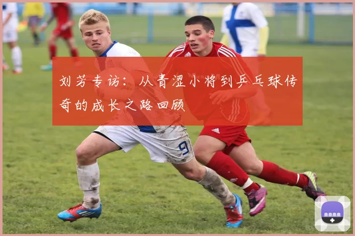 刘芳专访：从青涩小将到乒乓球传奇的成长之路回顾