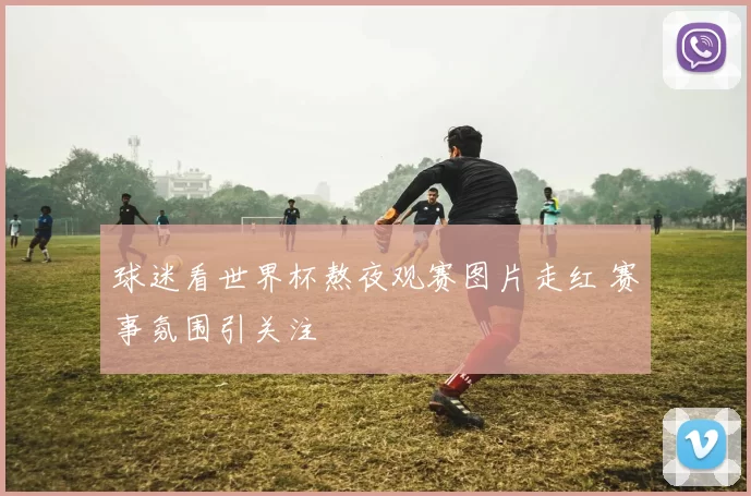 球迷看世界杯熬夜观赛图片走红 赛事氛围引关注
