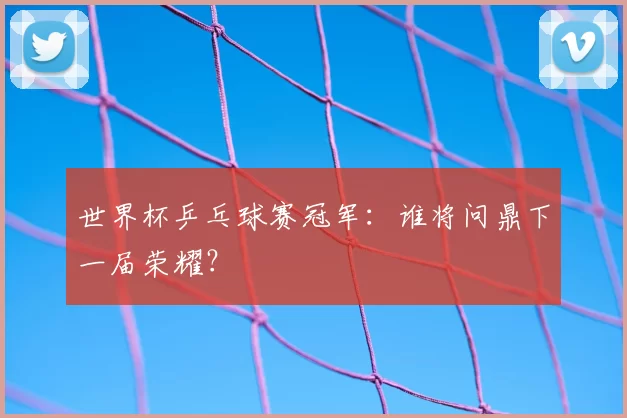 世界杯乒乓球赛冠军：谁将问鼎下一届荣耀？