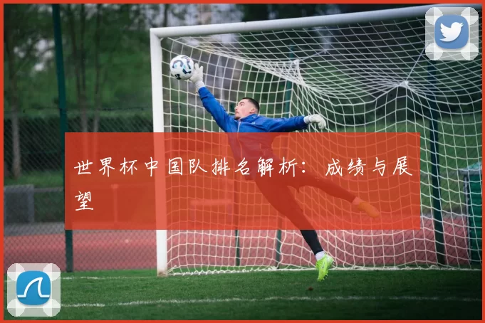 世界杯中国队排名解析：成绩与展望